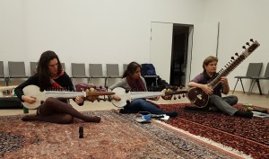 Fav_sarod and sitar